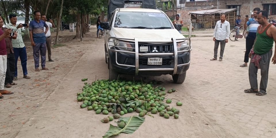 সাতক্ষীরায় ভ্রাম্যমাণ আদালতে ২০০ কেজি অপরিপক্ব আম জব্দ