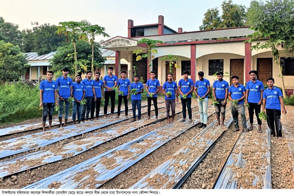 মোবাইল ছেড়ে হাতে খুন্তি-কোদাল, টাঙ্গাইলে শিক্ষার্থীদের ‘কৃষিবিপ্লব’