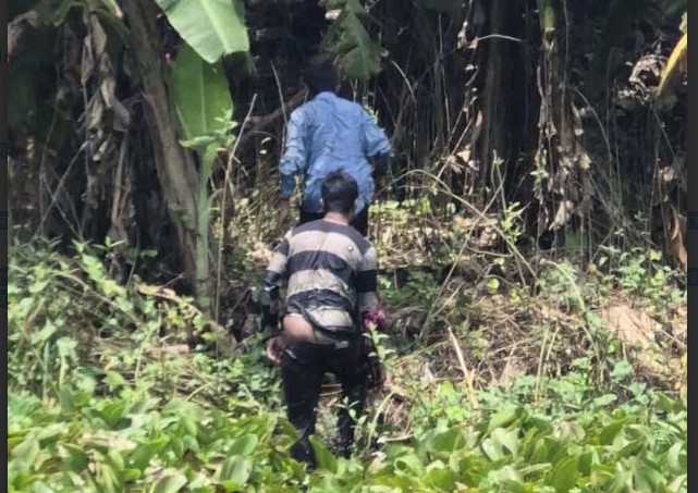 ঝিনাইদহ সীমান্তে বিএসএফের পুশইন
