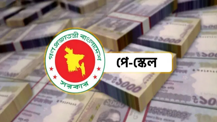 নতুন পে-স্কেল বাস্তবায়ন যেভাবে